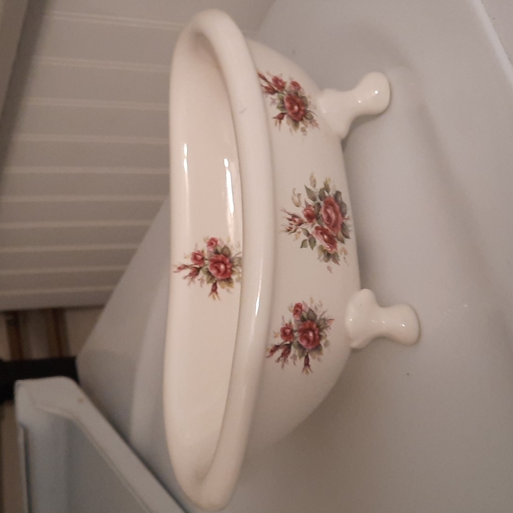 Bath tub soap dish